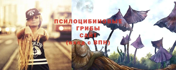 спиды Пересвет