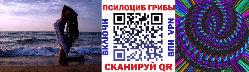 где купить наркоту  Артёмовск  Псилоцибиновые грибы мицелий 
